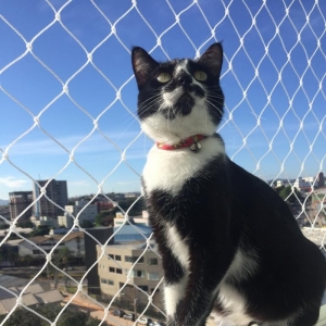 BH Redes de proteção