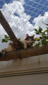 BH Redes de proteção