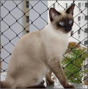 BH Redes de proteção