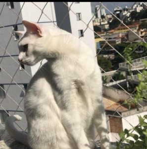 BH Redes de proteção